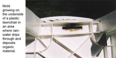 Mold growing on the underside of a plastic lawnchair.